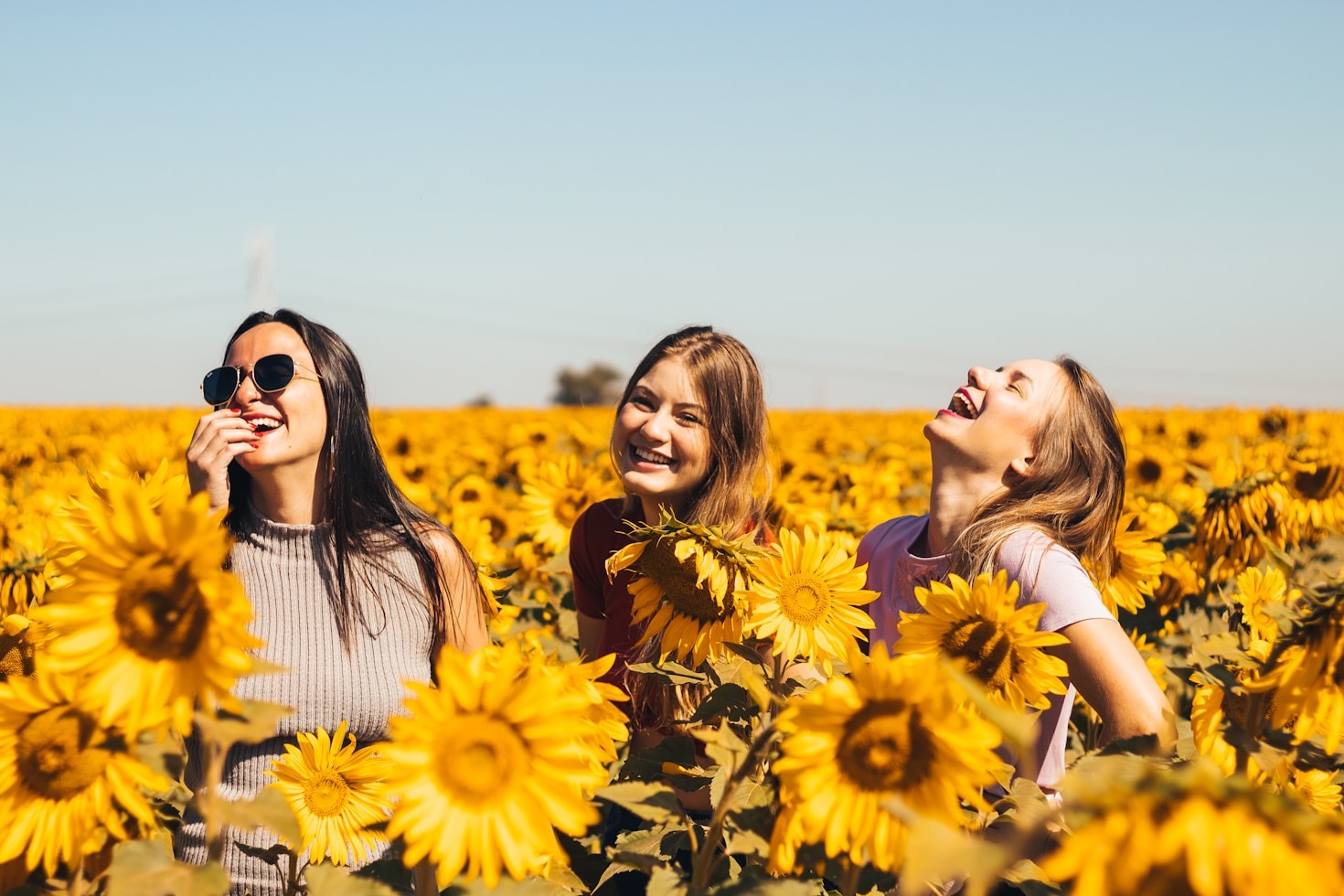 Exploring Life Purpose in Your Fifties
